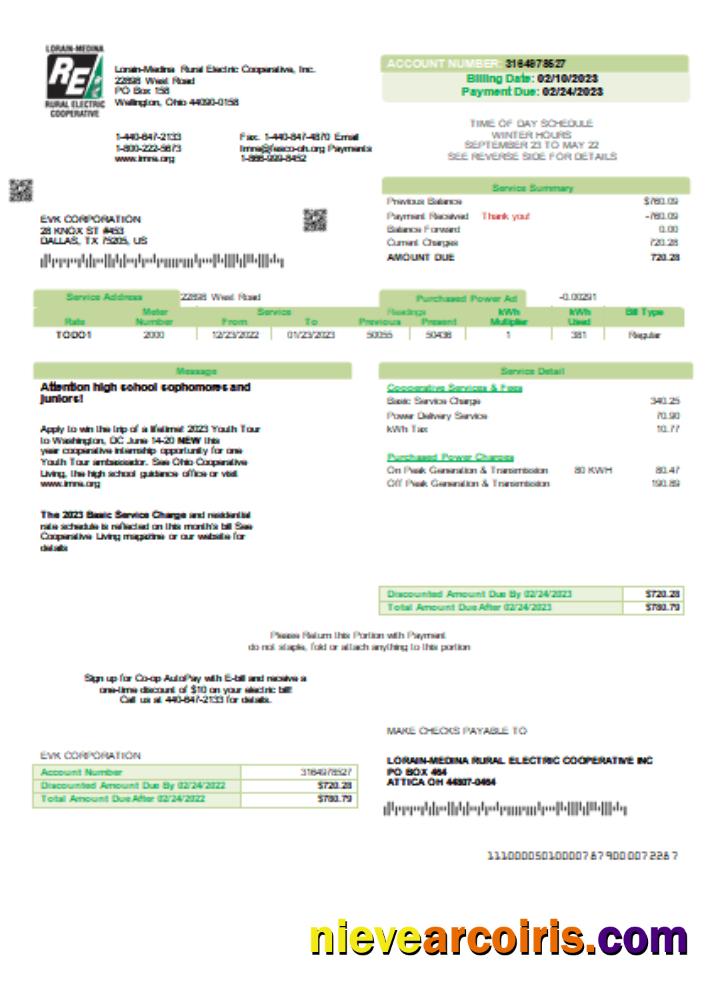 Lorain Medina Rural Electric utility business bill